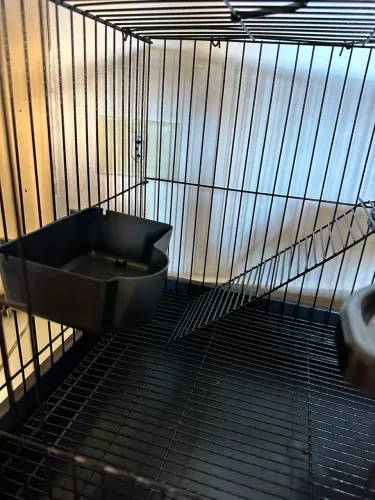 GAIOLA PARA PET