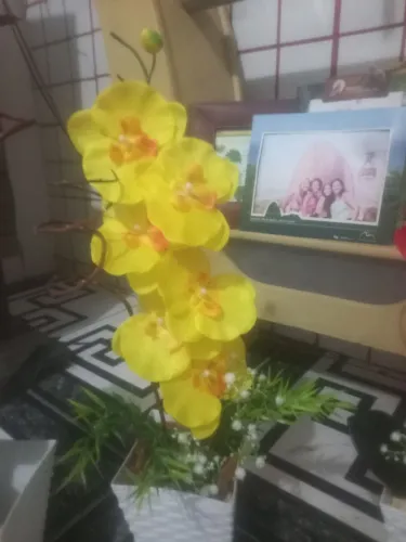 Flores