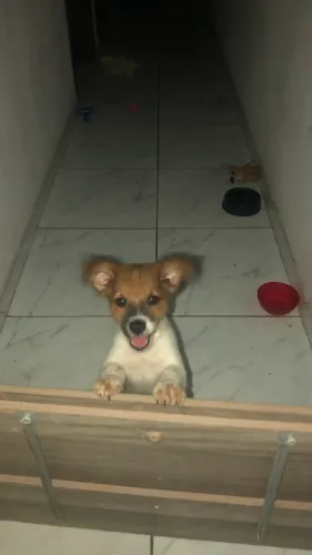 Doação