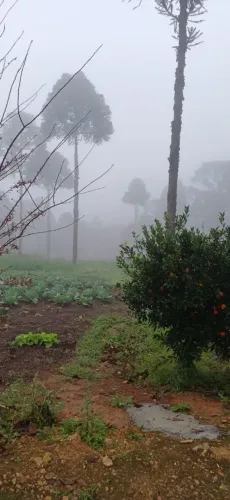 Lindo sitio em Tijucas do sul