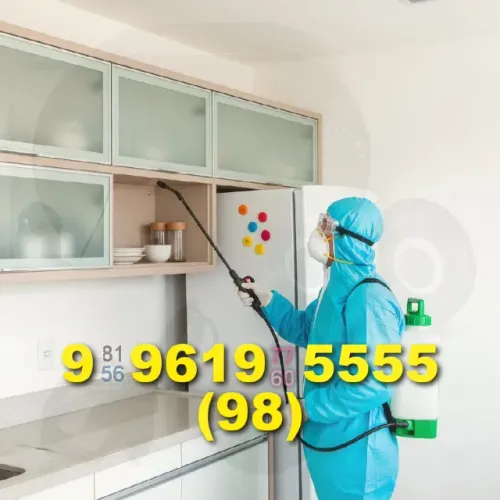 dedetização: promova seus serviços e tenha mais visibilidade com nossa divulgação!