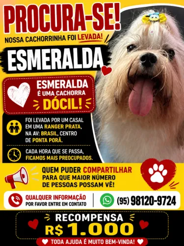 PROCURA-SE