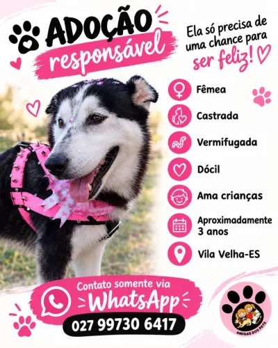Adoção responsável