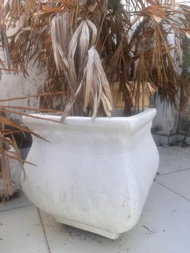 Vaso de cimento