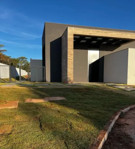 Grama São Carlos Fácil de Plantar e Manter