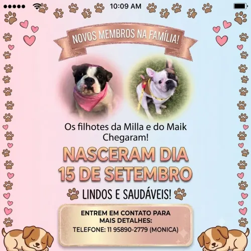 Quem tiver interesse me chama