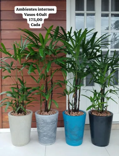 Belos vasos completos decorativos 