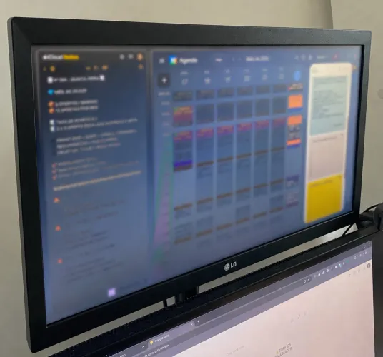 Monitor LG 19 polegadas - Excelente estado