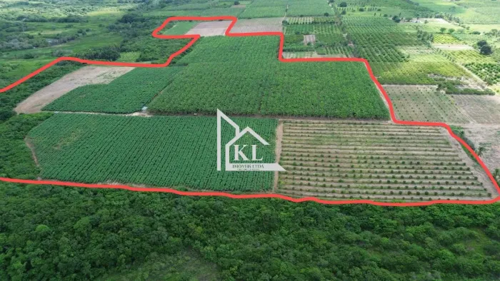 Fazenda em Produção - 14 Hectares - Agua - Localizção - Ceara Mirim