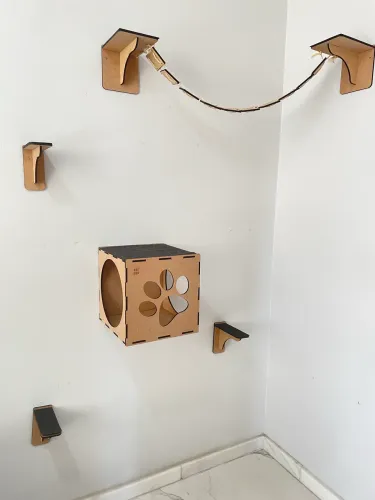 Conjunto para gatos novo
