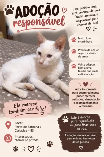 Doação Responsável