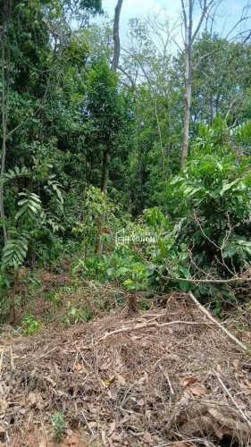 Chácara com 3 dormitórios à venda, 25000 m² por R$ 850.000,00 - Jardim Santa Barbara - Pir