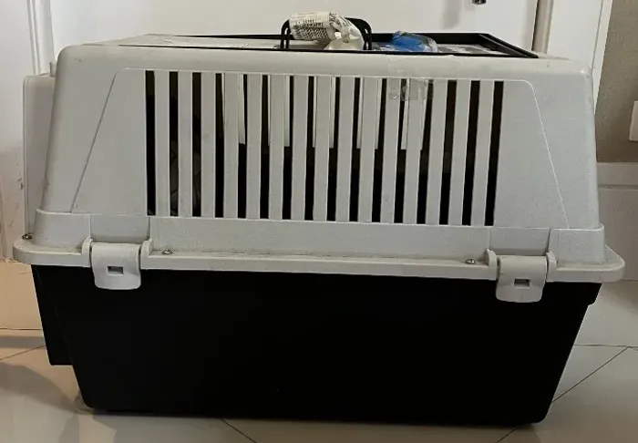 Caixa De Transporte (kennel) Ferplast Atlas 40 Professional - IATA (Usado)