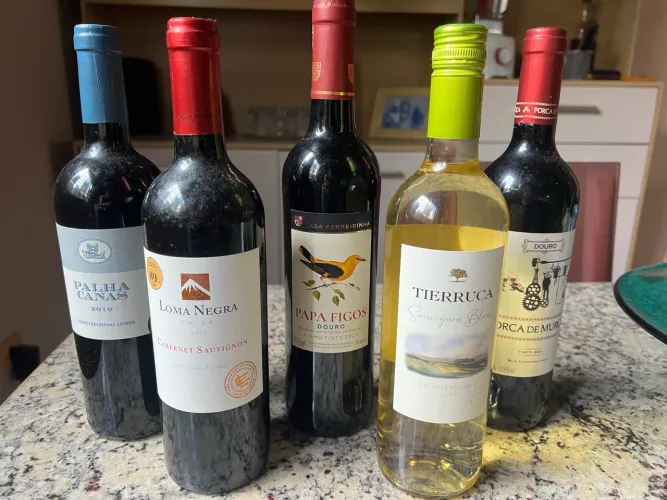 5 tipos de vinhos