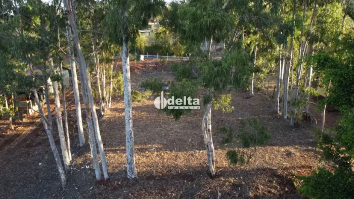 Lote Beira Lago (Indianópolis)