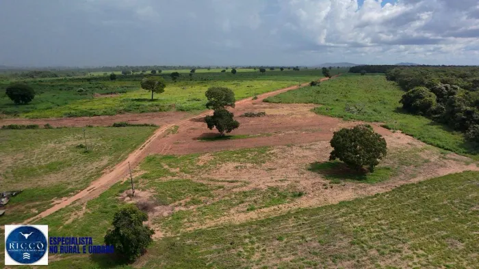 Fazenda à Venda na Região de Montes Claros de Goiás | 58 alqueires