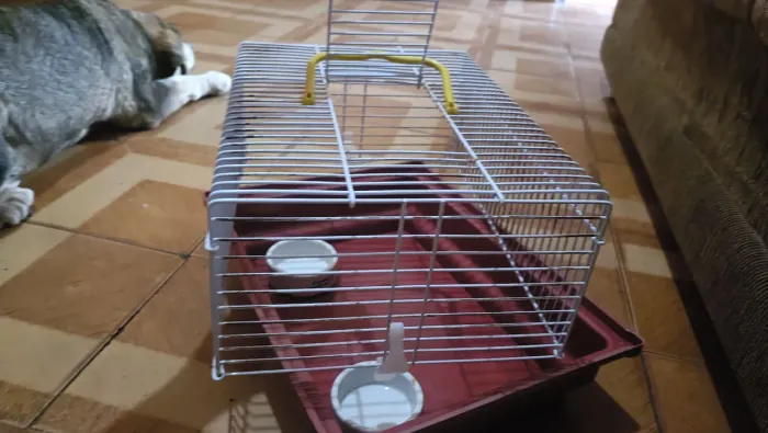 Gaiola para Hamster Usada em Bom Estado