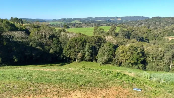 Imóvel para venda possui 14490 metros quadrados em Avenquinha - Campo Alegre - SC