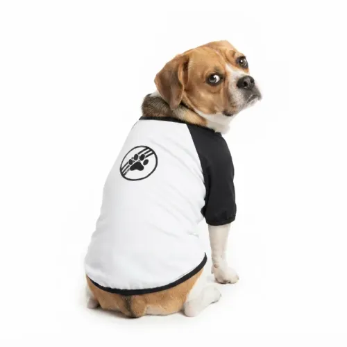 Roupa Pet com Proteção UV em Lycra Poliamida PP, P, M, G, GG, EXG