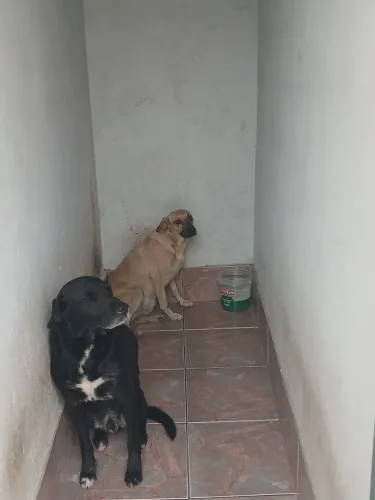 Doação consciente.