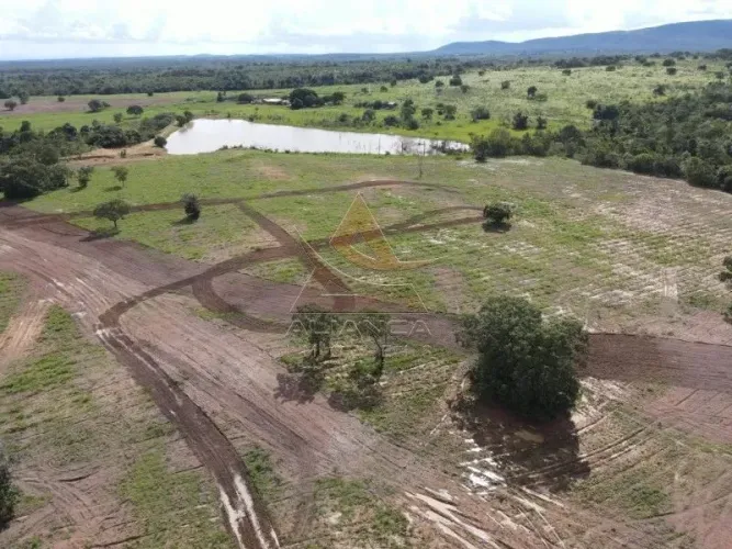 Fazenda - Peixe - Zona Rural