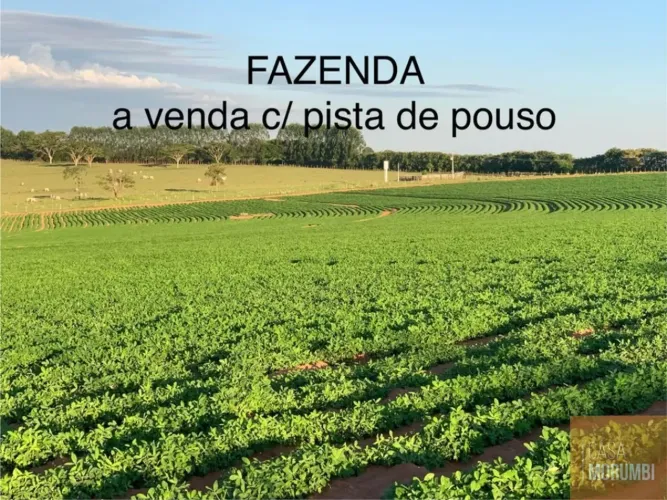Fazenda para Venda, Marília / SP 56,60 hectares c/ pista de poso hangar para 3 Aviões Mari