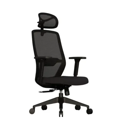 Cadeira Escritório Ergonômica Serena - Adeus Dores nas Costas!