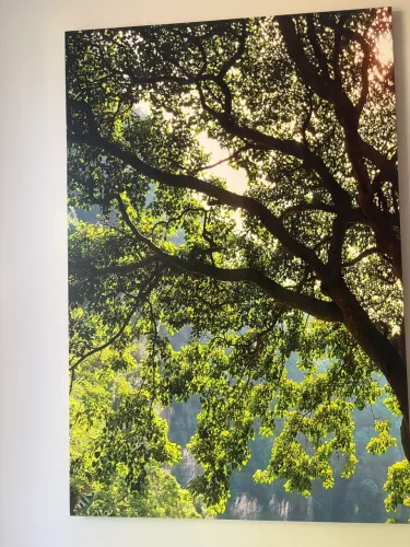 Quadro lindo mural Natureza