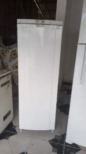 Geladeira 1 porta, 60 dias de garantia