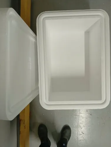 Caixas de isopor 43x65cm