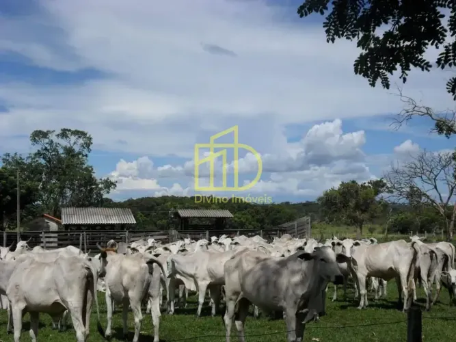 FAZENDA À VENDA OPORTUNIDADE DE INVESTIMENTO PRODUTIVO