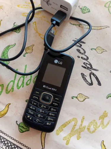 Celular antigo LG mais carregador
