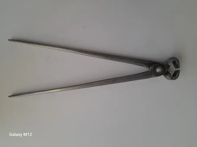 Turqueza Pernambucana