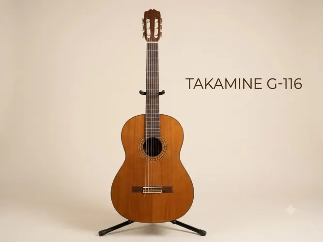 Violão Takamine nylon