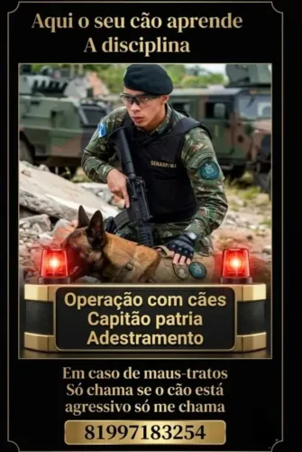 Adestrador 