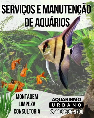 Serviços e manutenção de aquários e lagos