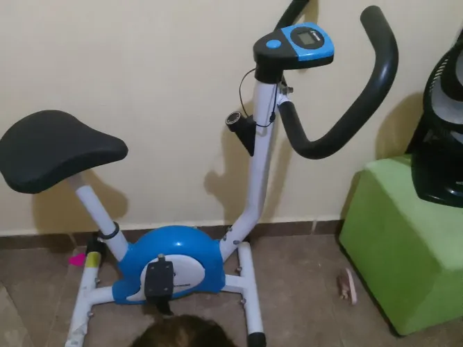 Bicicleta ergonômica 