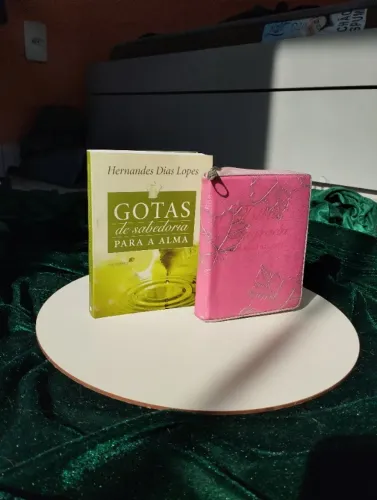 Kit livros bíblia e devocional