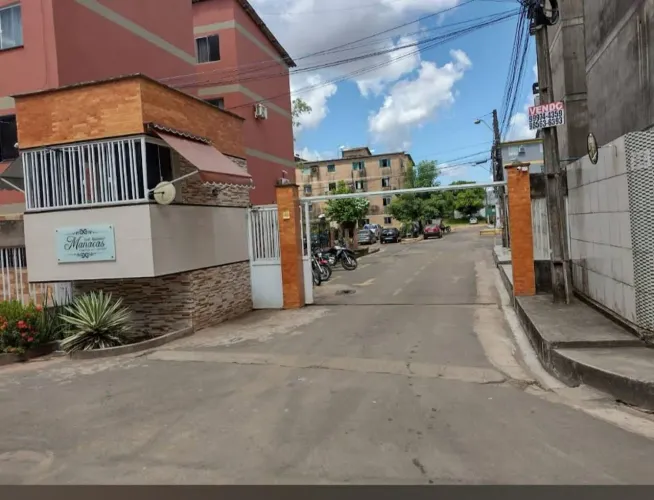 Códomimiio manacais 
