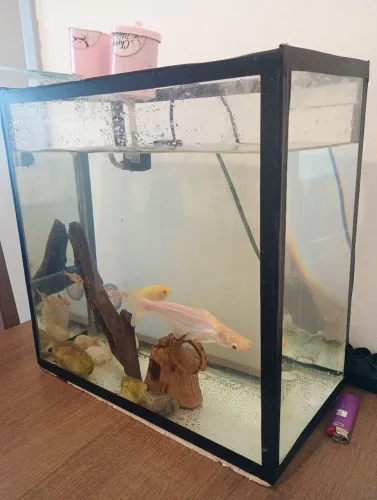 Vendo Aquário 25L