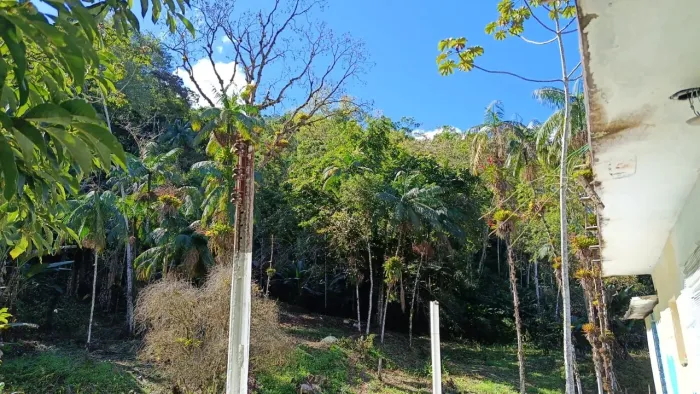 Sítio 10 Alqueires em Pedro de Toledo | 2 Nascentes e Água Potável