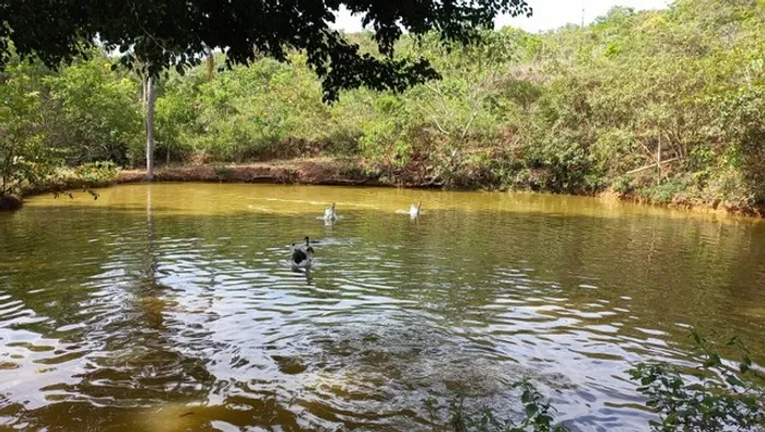 Excelente Chácara com 4 Hectares, Tanques de peixes, Córrego 