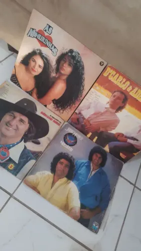 Lote de discos sertanejo
