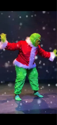 Alugo Fantasia grinch