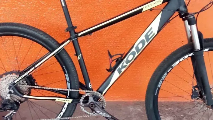 Bike Modelo aro 29
