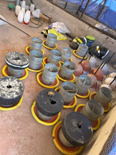 Comedores para galinha usado 10,00 un