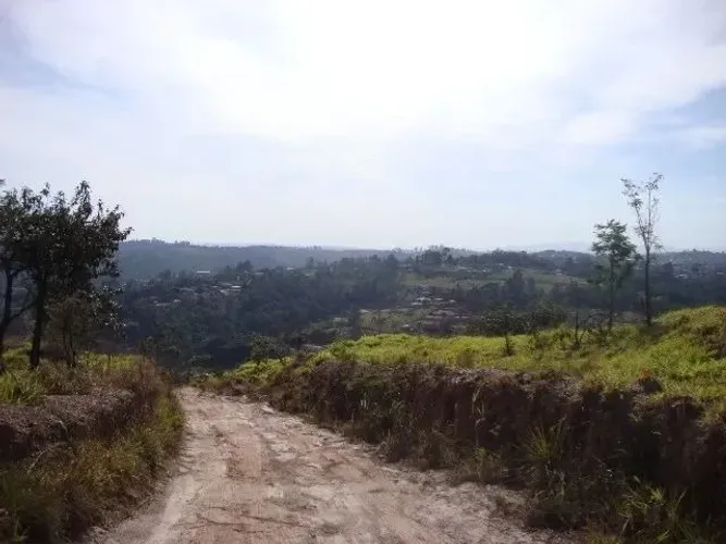 https://imoveisgirassol.com.br/produto/chacara-sem-benfeitorias-escritura-topografia-campo