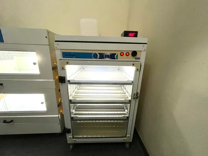 Chocadeira chocmaster 240 ovos 