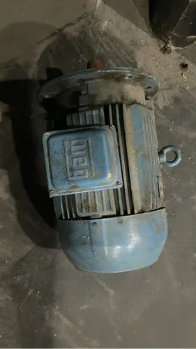 Motor weg 15 cv 