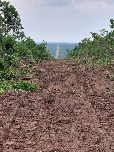 Fazenda 8 mil hect em tangará da serra MT. Média 250 milhões.